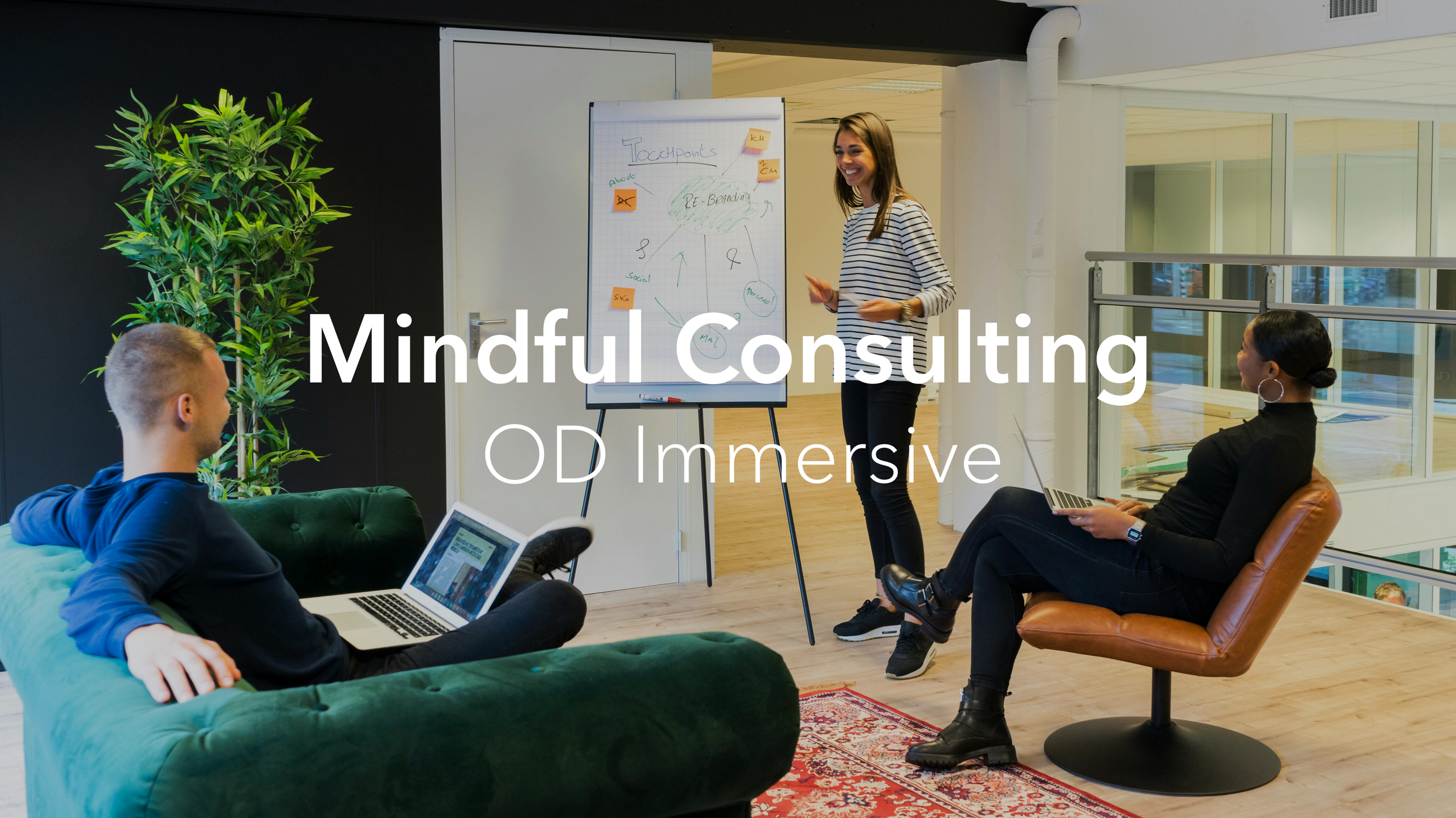 Mindful Consulting